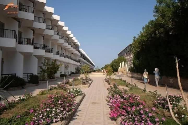 Fox House Hurghada