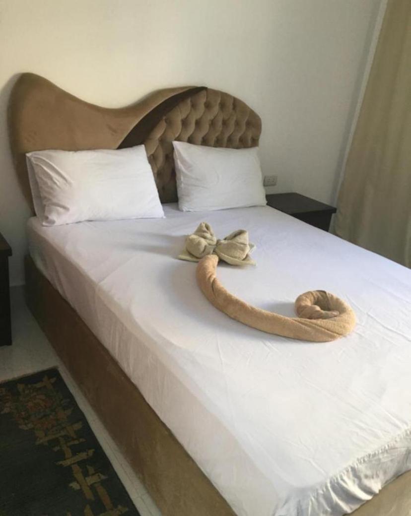 Fox House Hurghada